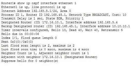 2025 Cisco 300-410 dumps exam questions 11-1