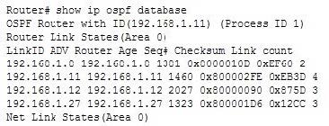 2025 Cisco 300-410 dumps exam questions 11-3