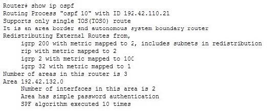 2025 Cisco 300-410 dumps exam questions 12